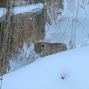 Meet your Posher, Andy